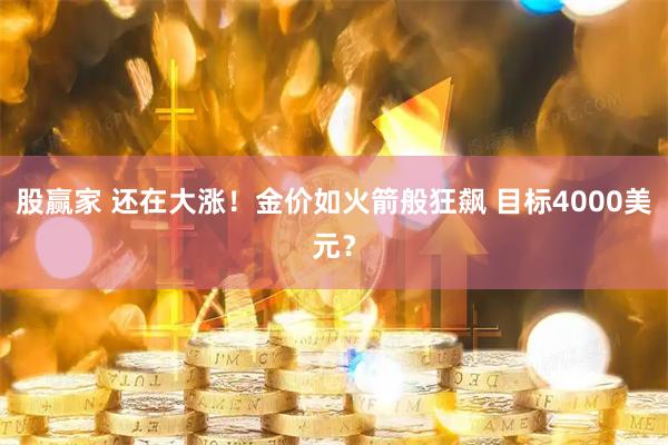 股赢家 还在大涨！金价如火箭般狂飙 目标4000美元？