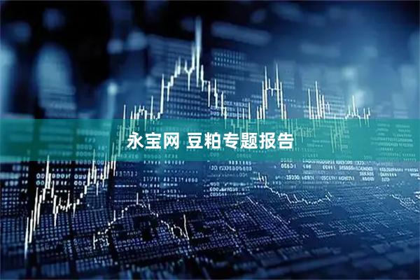 永宝网 豆粕专题报告