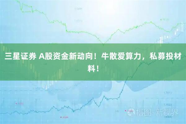 三星证券 A股资金新动向！牛散爱算力，私募投材料！