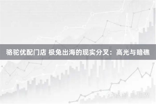 骆驼优配门店 极兔出海的现实分叉：高光与暗礁