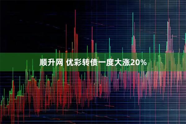 顺升网 优彩转债一度大涨20%