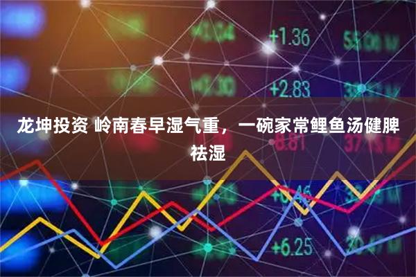 龙坤投资 岭南春早湿气重，一碗家常鲤鱼汤健脾祛湿